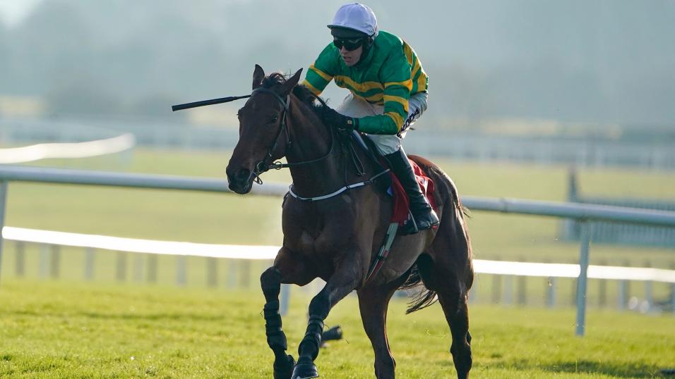 Jumps racehorse Fakir D’Oudairies.